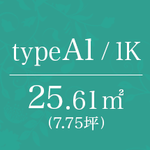 A1type 1K