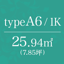 A6type 1K
