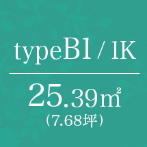 B1type 1K